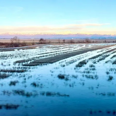 Cozy Place 10 شقة