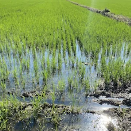 Cozy Place 10 فيرتشيلي