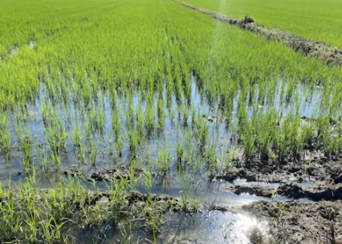 Cozy Place 10 Vercelli